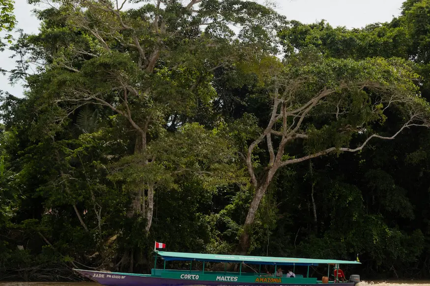 Amazonas